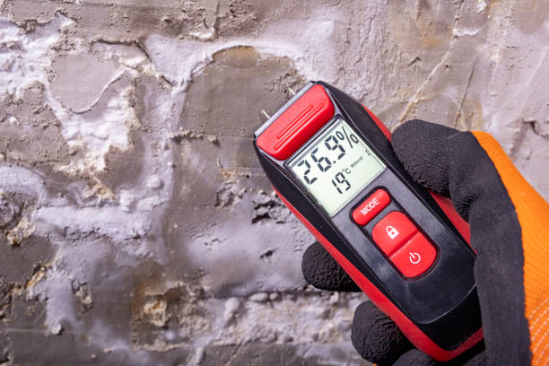 Best Crawl Space Mold Removal  in Marillo, CA