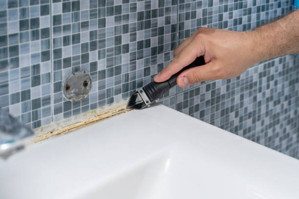 Best Mold Damage Repair  in Marillo, CA