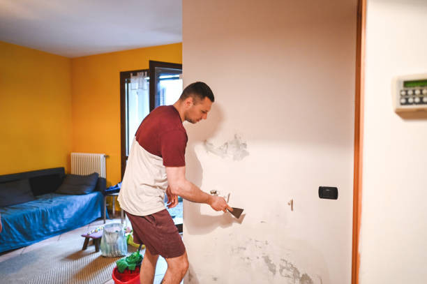 Best Emergency Mold Removal  in Marillo, CA